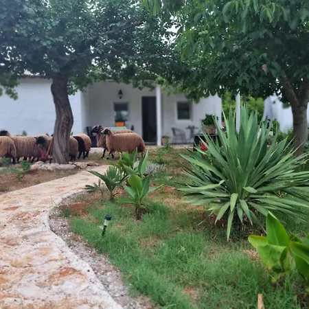 Casa Flora فيلة Ližnjan